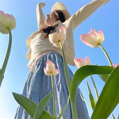 长相思第二季